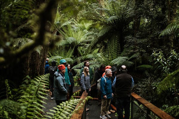 The Future Great Forest National Park of Australia