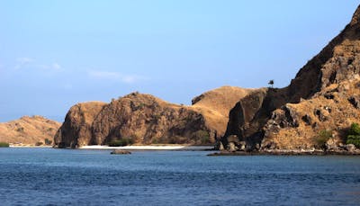 Southeast Indonesian Dry Forest Islands (AU15)