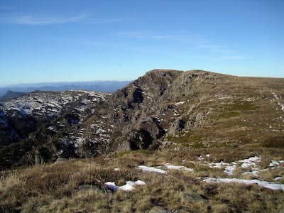 East Australian Temperate Forests & Mountain Shrublands (AU3)