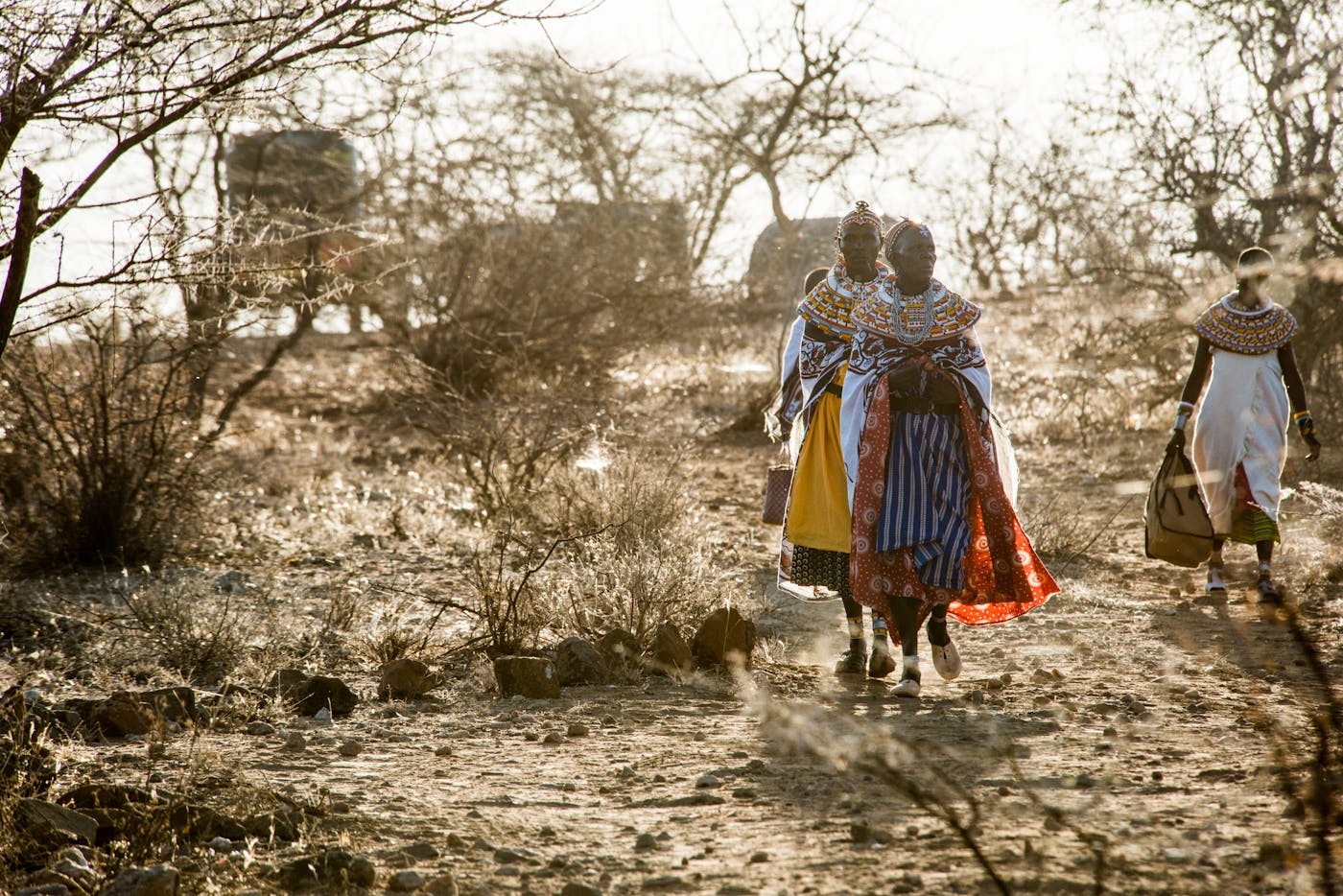 Recovering the Endangered Grevy’s Zebra Through Community-led Conservation