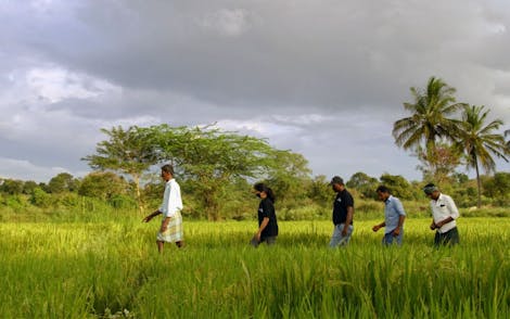 Expanding Protections for Iconic Species and Their Habitats in India