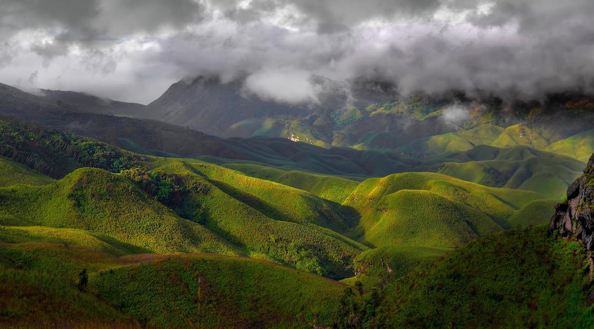 Arakan Mountains & Northern Triangle Forests (IM10)