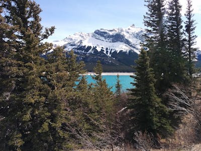 Mid-Canada Boreal Plains & Foothill Forests (NA8)