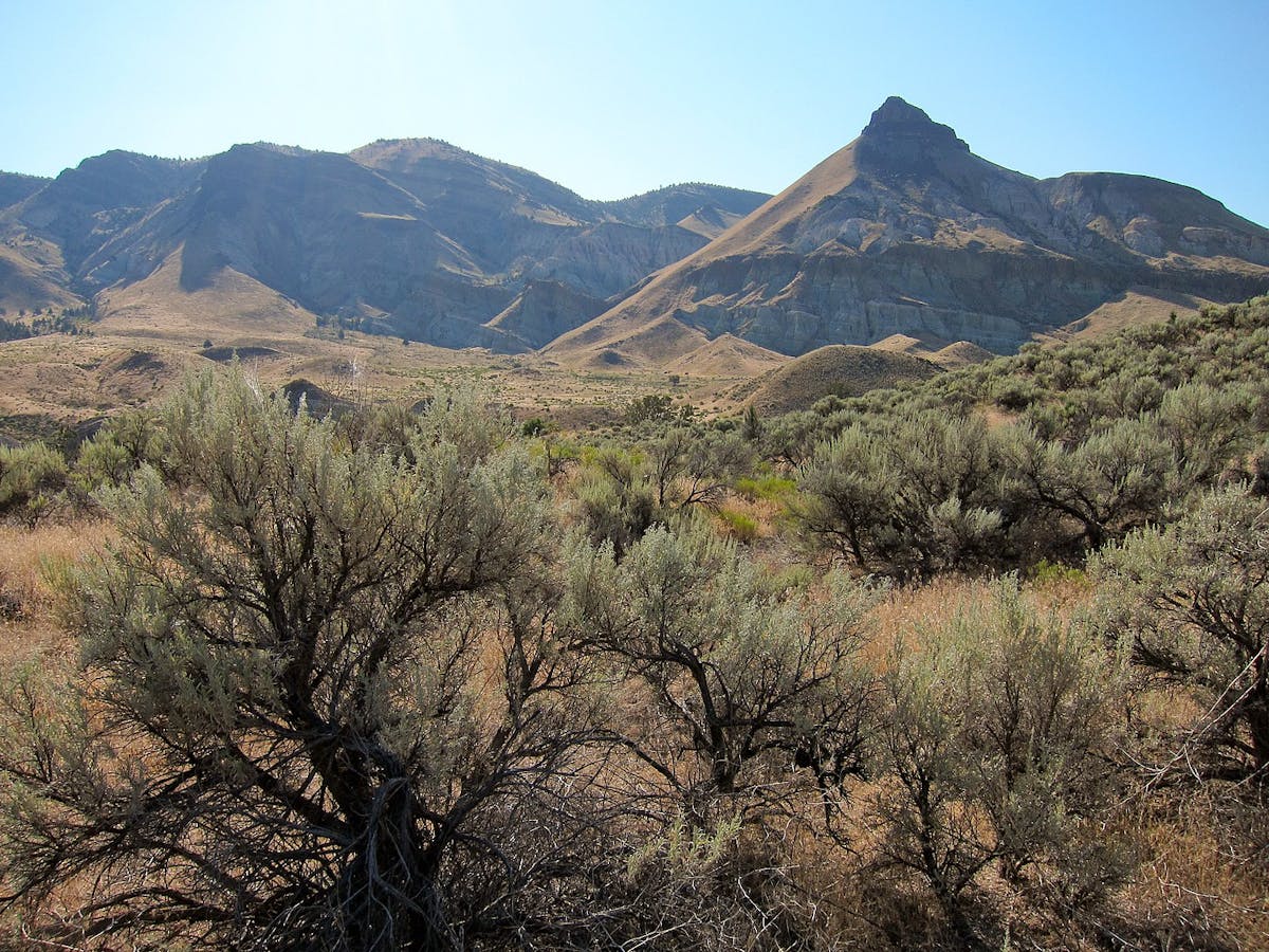 Columbia Plateau & Blue Mountains (NA17)