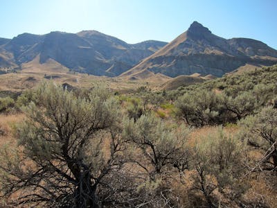 Columbia Plateau & Blue Mountains (NA17)