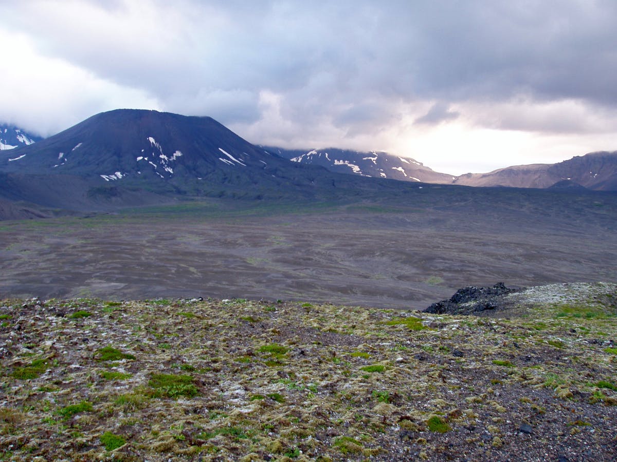 Greater Alaska Taiga & Tundra (NA4)