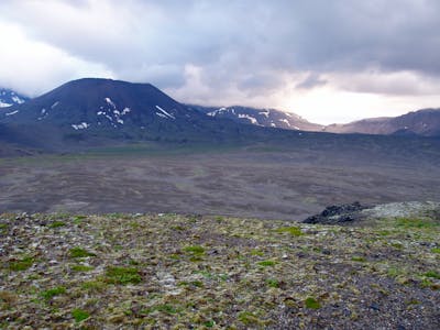 Greater Alaska Taiga & Tundra (NA4)