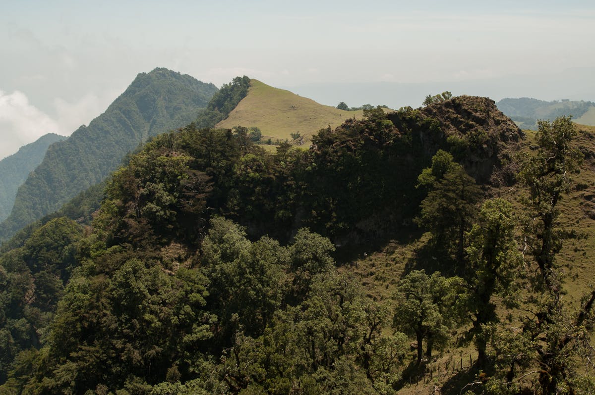 Mexican Dry & Coniferous Forests (NT28)