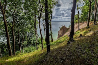 West European Coastal Mixed Forests (PA10)