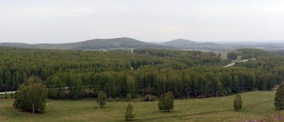Siberian Hemiboreal Forests & Steppe (PA35)