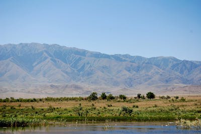 Junggar Semi-Desert & Ermin Valley Steppe (PA38)