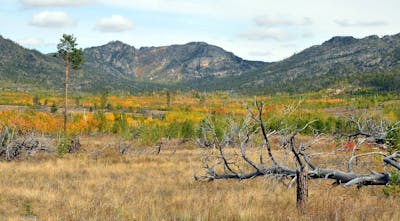 Kazakh Forest Steppe & Grasslands (PA34)