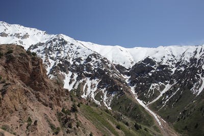 Tian Shan-Pamir Grasslands, Mountain Steppe & Conifer Forests (PA31)