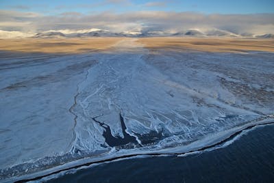 East Eurasian Coastal Tundra (PA5)