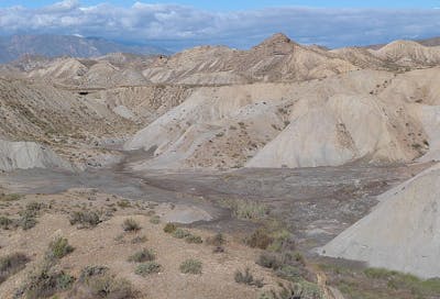 Balearic Sea & West Mediterranean Mixed Forests (PA20)