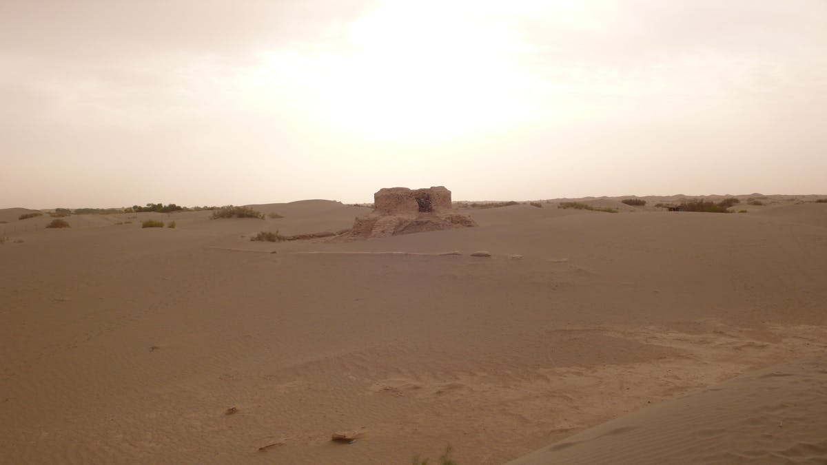 Taklimakan Desert & Lowland Deciduous Forests (PA39)