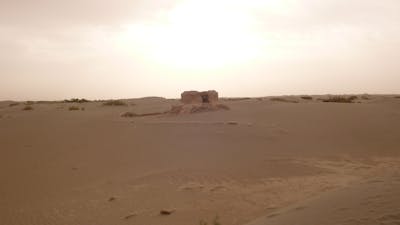 Taklimakan Desert & Lowland Deciduous Forests (PA39)