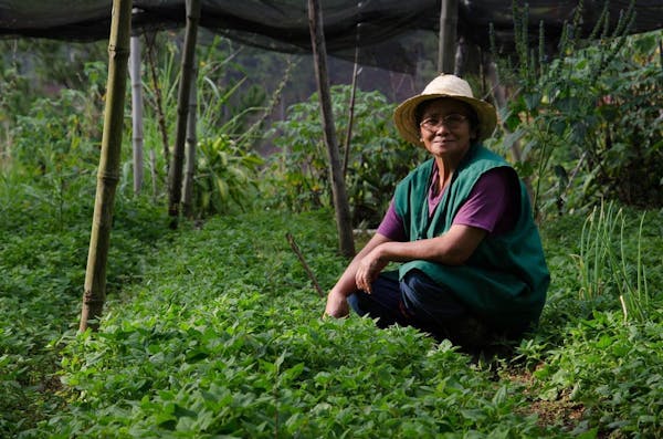 Empowering Filipino farmers through organic agriculture