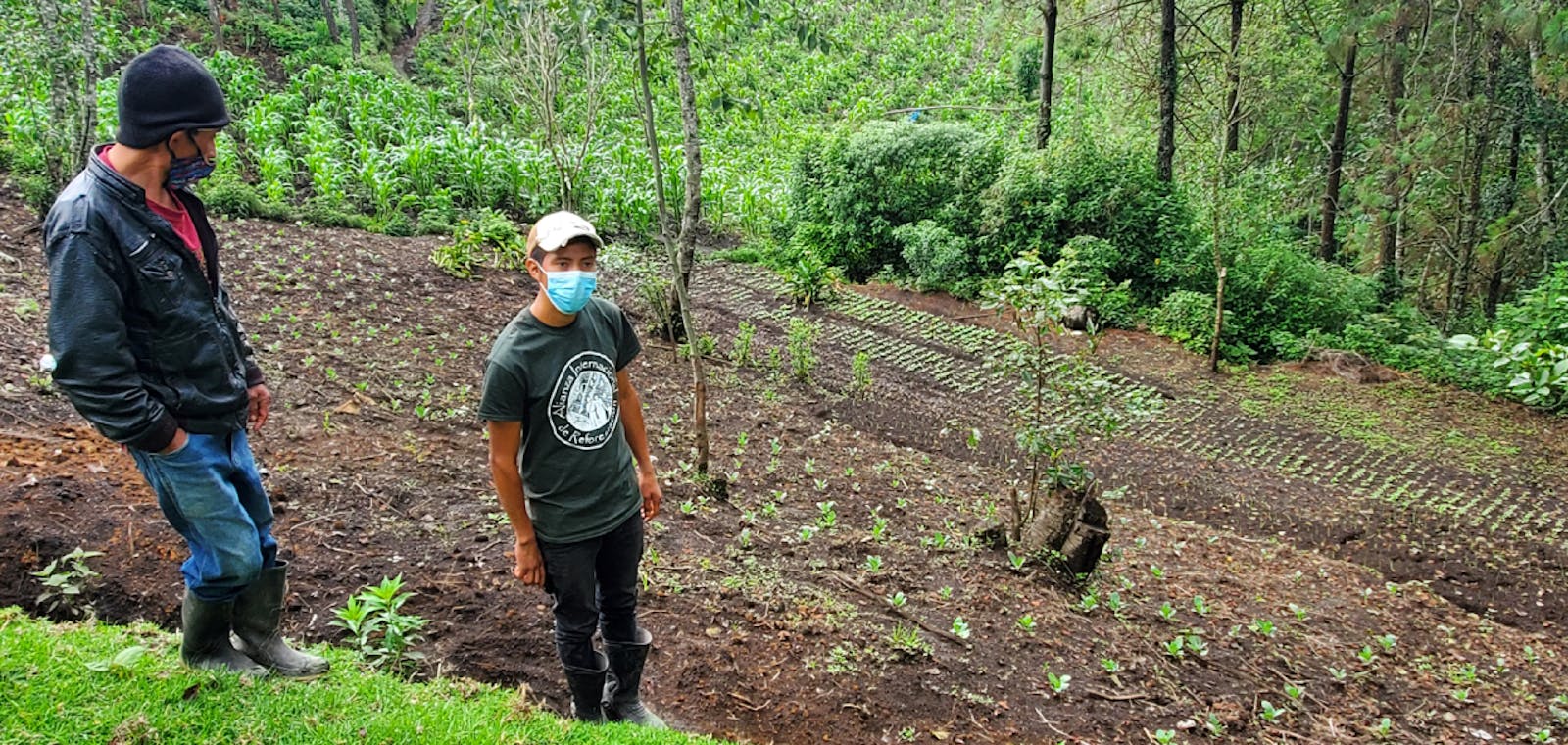Alianza Internacional de Reforestación (AIR)