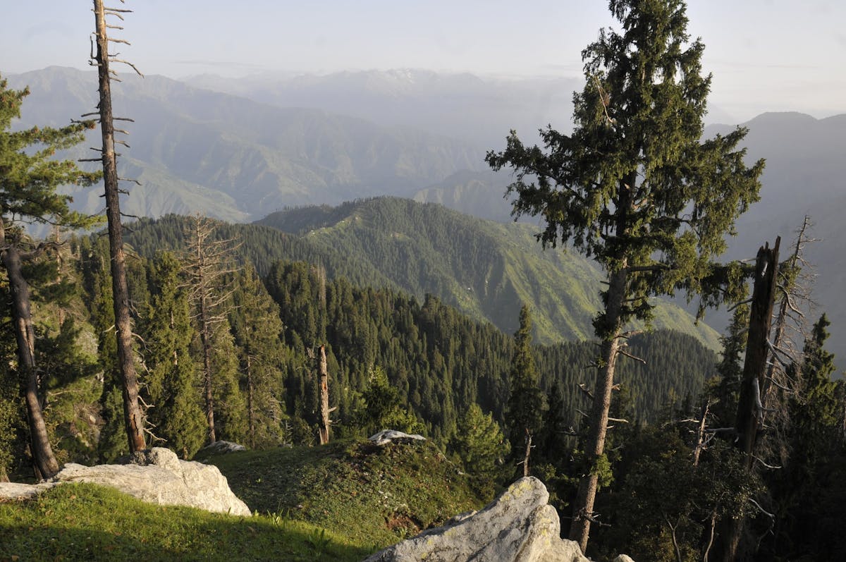 Afghan-Balochistan Drylands, Mountain Meadows & Conifer Forests (PA30)