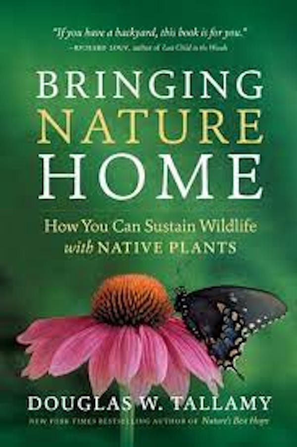 Bringing Nature Home: How Native Plants Sustain Wildlife in Our Gardens