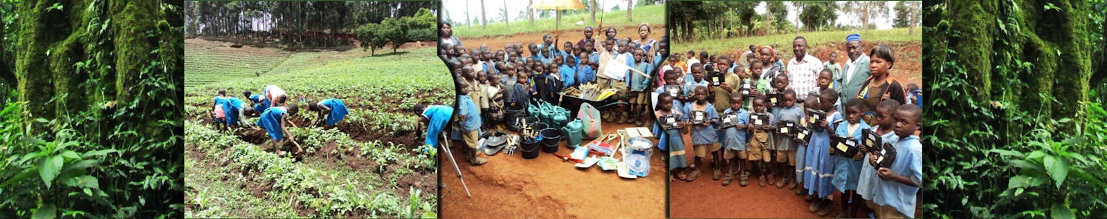 Cameroon Gender and Environment Watch (CAMGEW)