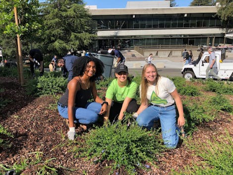 Empowering a Student-led Initiative to Restore and Rewild the 700-acre Campus of Emory University