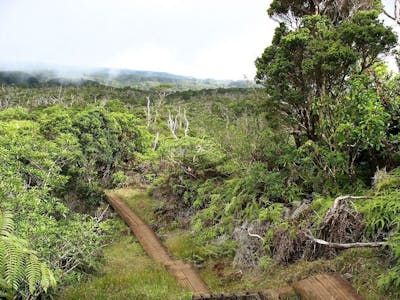 Central Polynesian Islands (OC4)