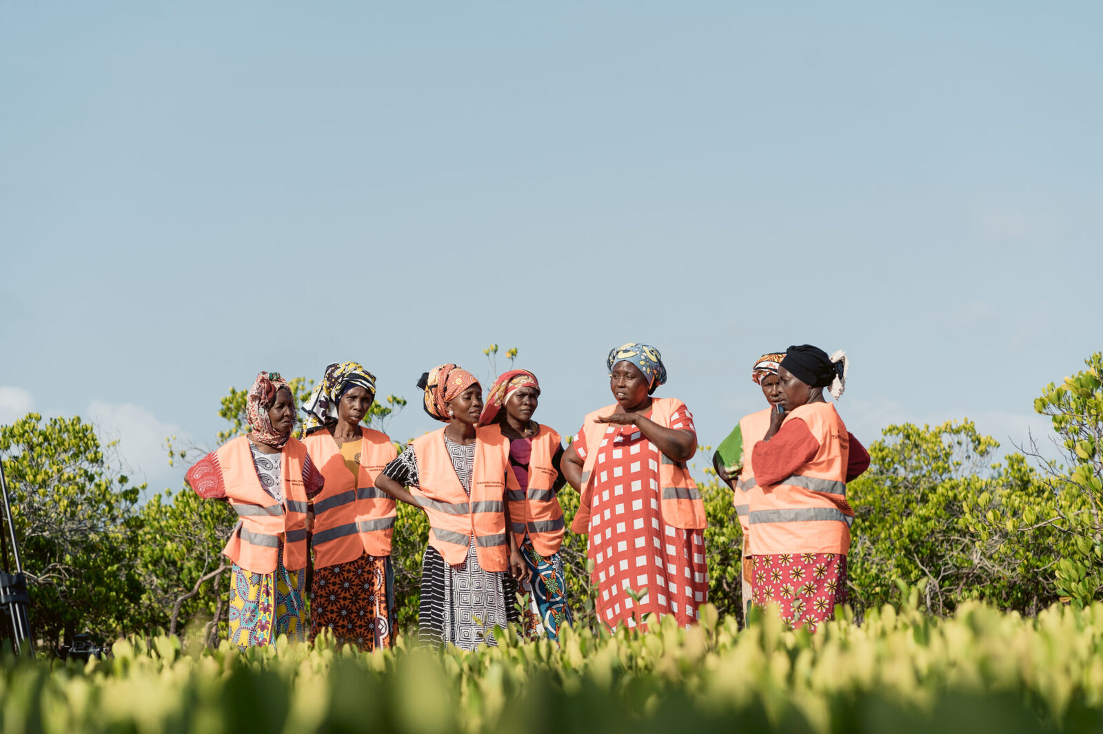 The Munje Tunusuru Women's Group manages mangrove nurseries, raising thousands of seedlings to restore Kenya’s coastline. Image Credit: CORDIOEA.