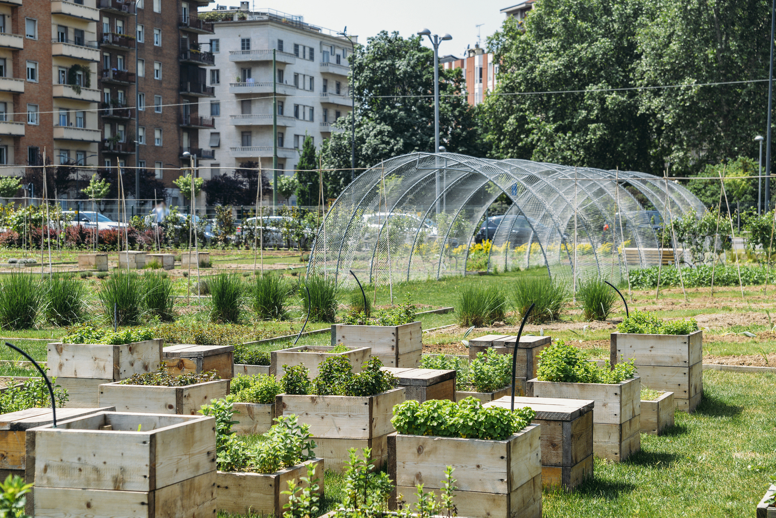 Urban farm. Image Credit: © Brasilnut | Dreamstime.com.