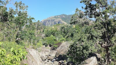 Fiji & Tongan Tropical Islands (OC6)