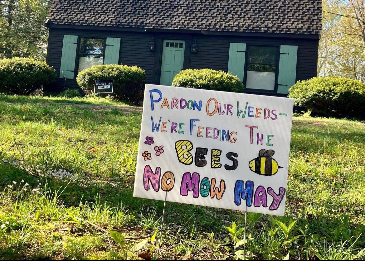 Pardon Our Weeds - We're Feeding The Bees sign for No Mow May.