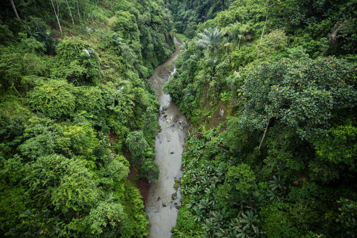 Five projects that are protecting and restoring nature to tackle climate change