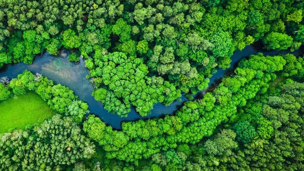 A Guide to Expanding Protected & Conserved Areas under the UN Global Biodiversity Framework