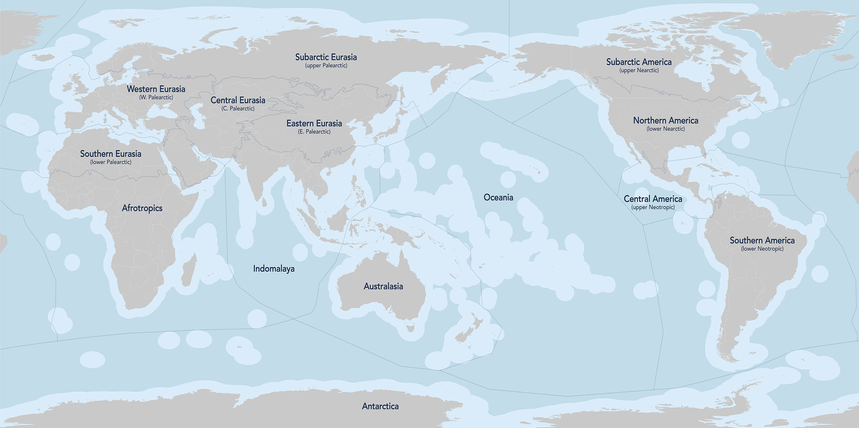 The 14 biogeographical realms of the Earth correspond with commonly held regional divisions. Between 3 and 24 bioregions are contained within each realm in the One Earth Bioregions Framework.
