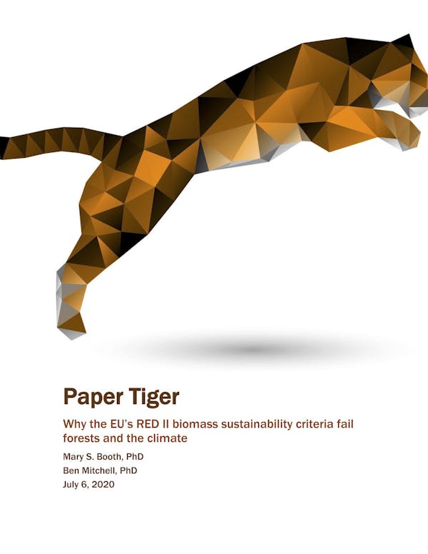 Paper Tiger