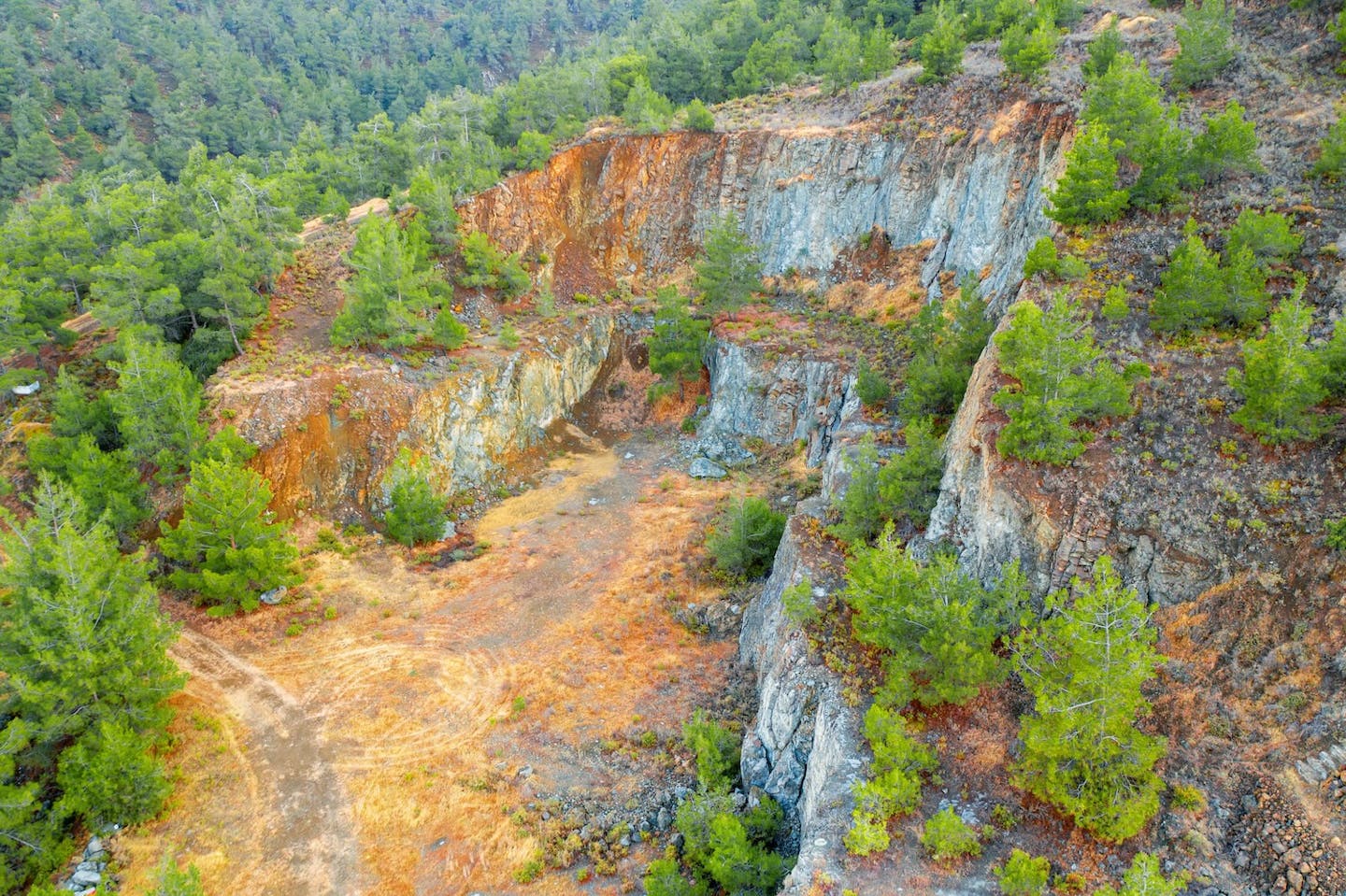 The true cost of global land restoration commitments