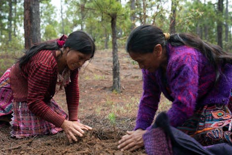 Regenerating Guatemala’s Cloud Forest Through Indigenous-led Action to Improve the Livelihoods of Smallholder Farmers