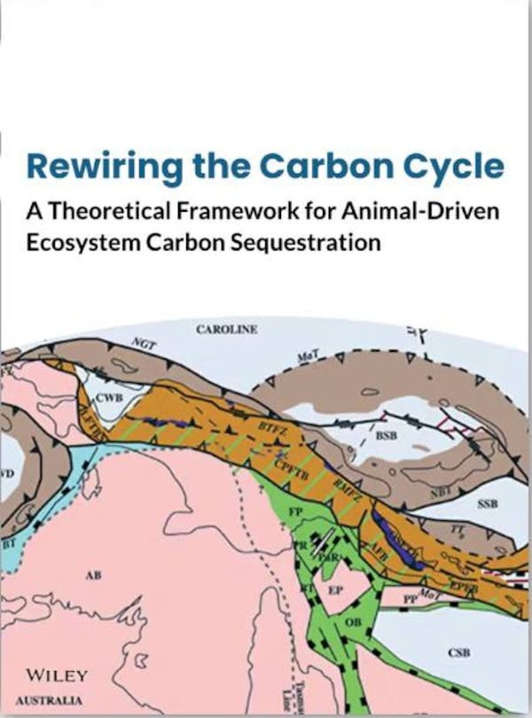 Rewiring the Carbon Cycle