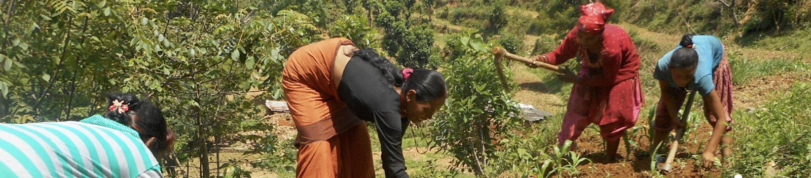 Groundswell International