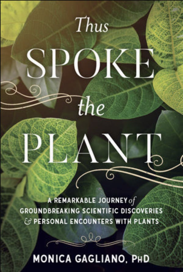 Thus Spoke the Plant: A Remarkable Journey of Groundbreaking Scientific Discoveries and Personal Encounters with Plants