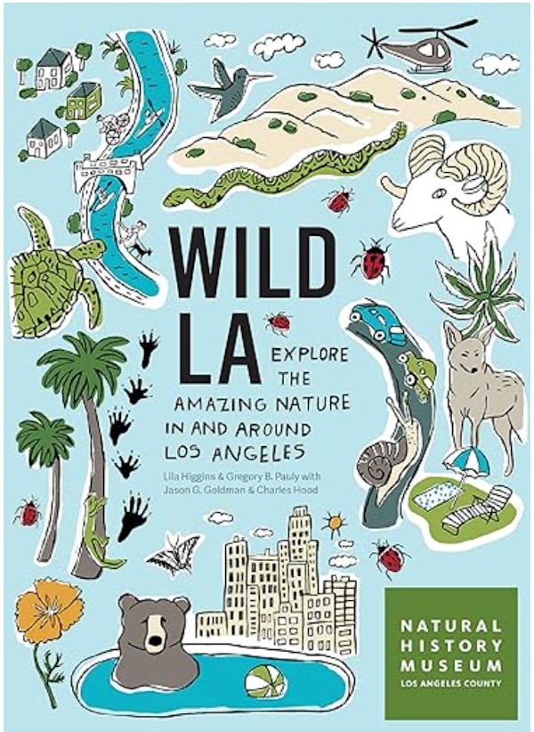 Wild LA: Explore the Amazing Nature in and Around Los Angeles