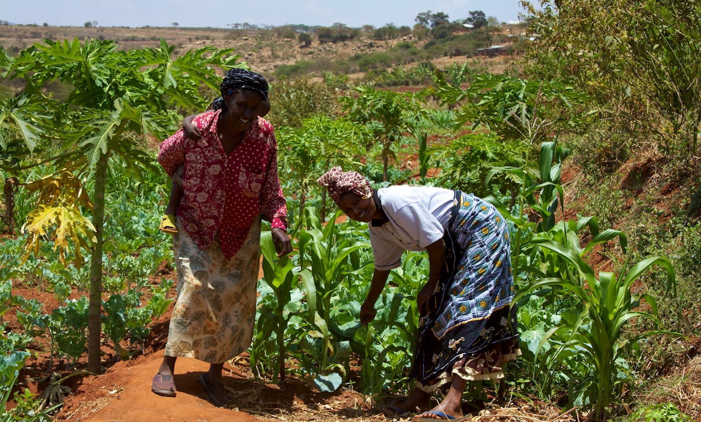 Why smallholder farmers are key to scaling regenerative agriculture: 10 case studies