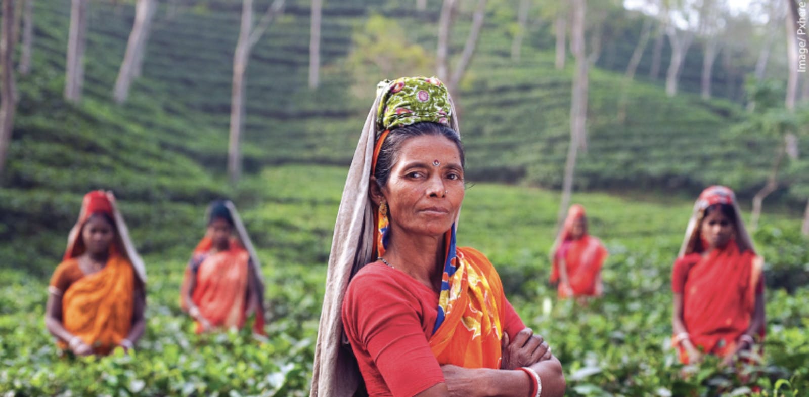 World Agroforestry Centre