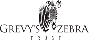 Grevy's Zebra Trust