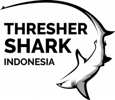 Thresher Shark Indonesia