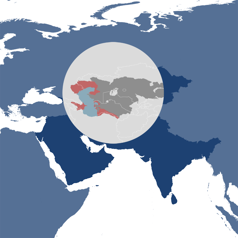 In the One Earth Bioregions Framework, Caspian seals are the iconic species of the Caspian Sea, Coastal Deserts & Kopet Dagh Mountain Woodlands bioregion (PA33), located in the Caspian Sea & Central Asian Deserts subrealm of Central Eurasia.