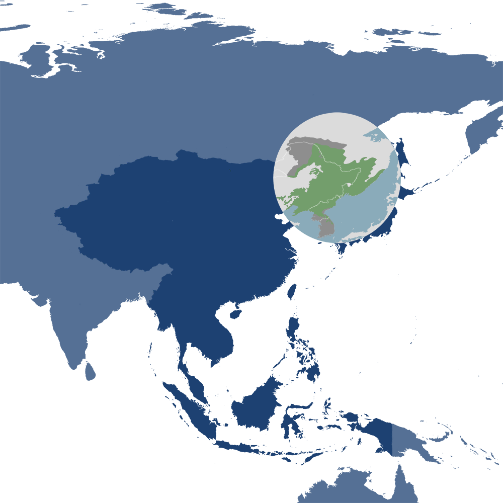 In the One Earth Bioregions Framework, Siberian tigers are the iconic species of the Manchuria-Ussuri Mixed Forests & Meadow Steppes bioregion (PA46), located in the Northeast Asian Forests subrealm of Eastern Eurasia.