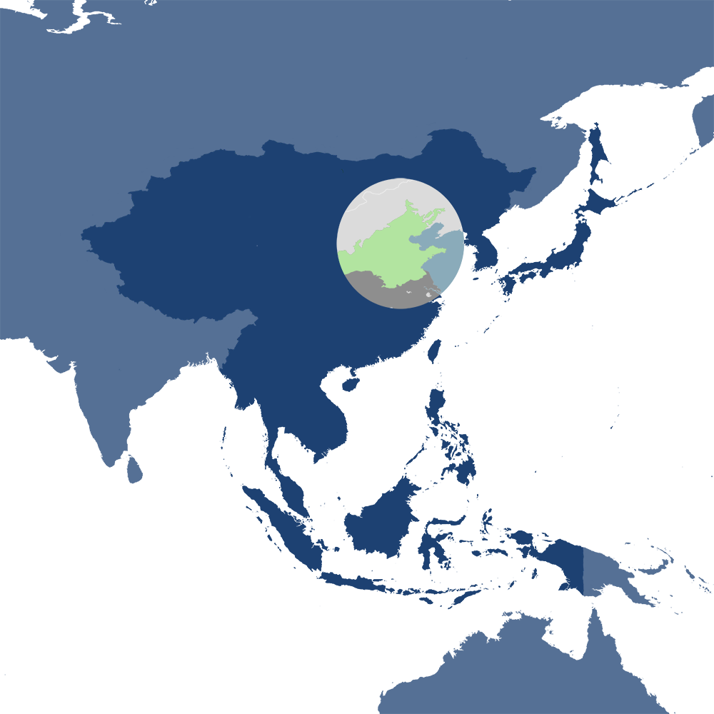 The Amur leopard is the iconic species of the Loess Plateau & Huang He Plain Mixed Forests bioregion (PA49), located in the Central East Asian Forests subrealm of Eastern Eurasia.