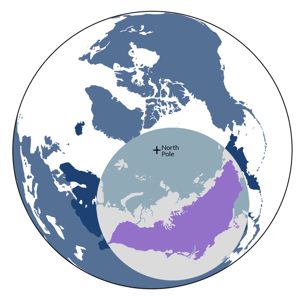 The wolverine is the iconic species of the Siberian Boreal Forests & Mountain Tundra bioregion (PA7), located in the Siberia & East Boreal Forests subrealm of Subarctic Eurasia.